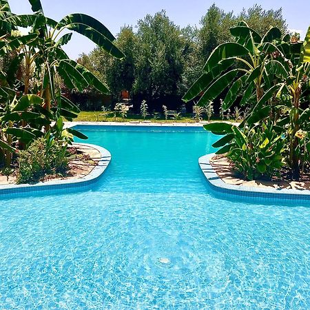 Douar AkkaraLe Domaine De Carole Marrakech住宿加早餐旅馆 外观 照片