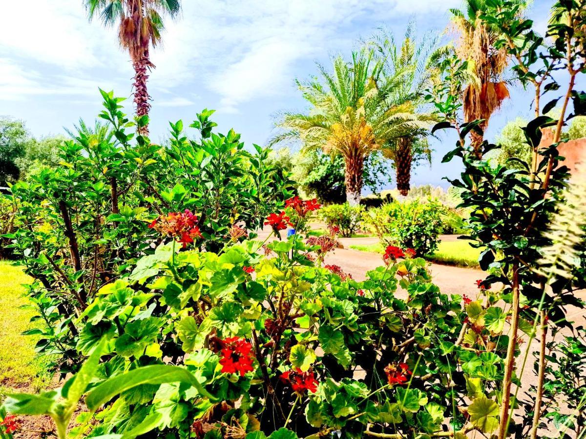 Douar AkkaraLe Domaine De Carole Marrakech住宿加早餐旅馆 外观 照片