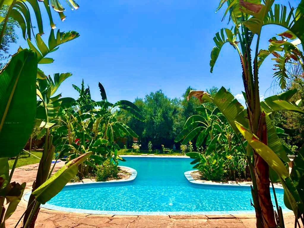 Douar AkkaraLe Domaine De Carole Marrakech住宿加早餐旅馆 外观 照片