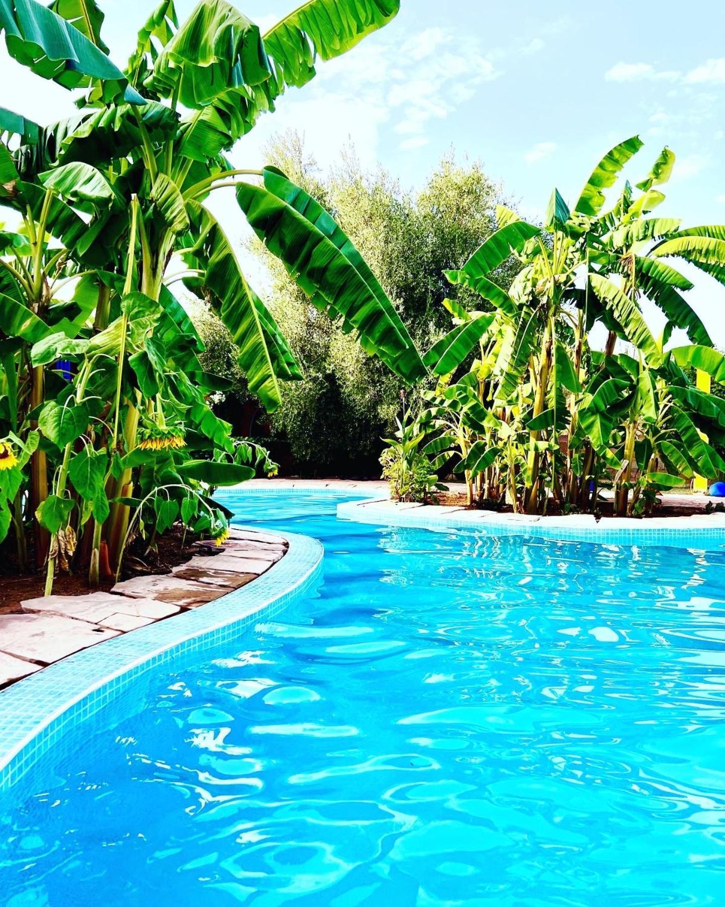Douar AkkaraLe Domaine De Carole Marrakech住宿加早餐旅馆 外观 照片