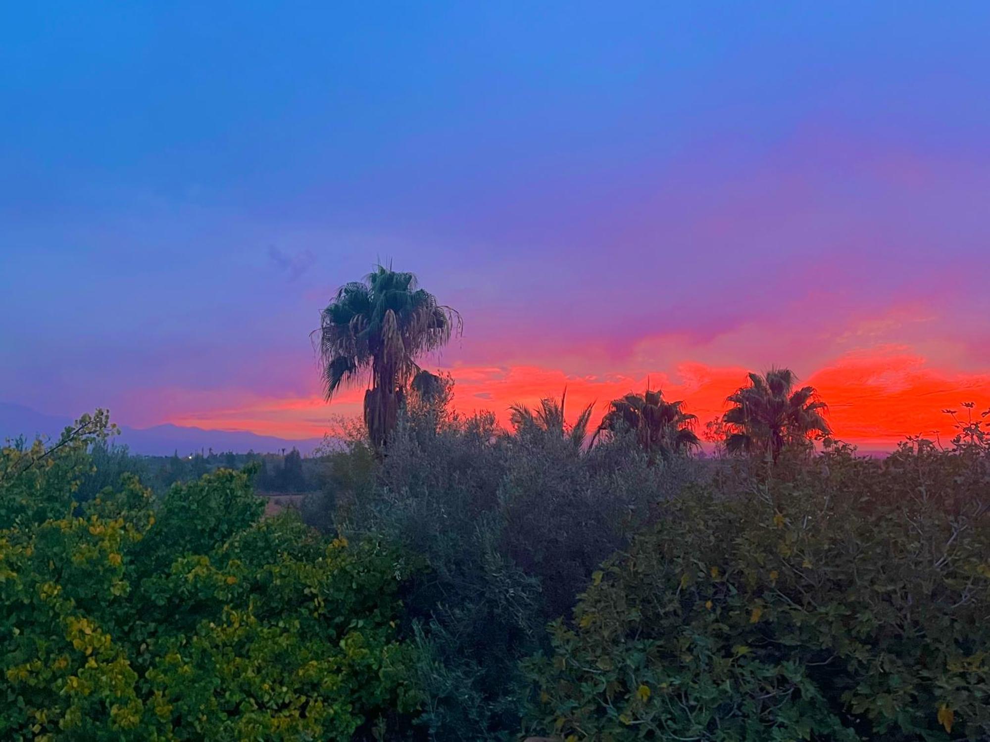 Douar AkkaraLe Domaine De Carole Marrakech住宿加早餐旅馆 外观 照片