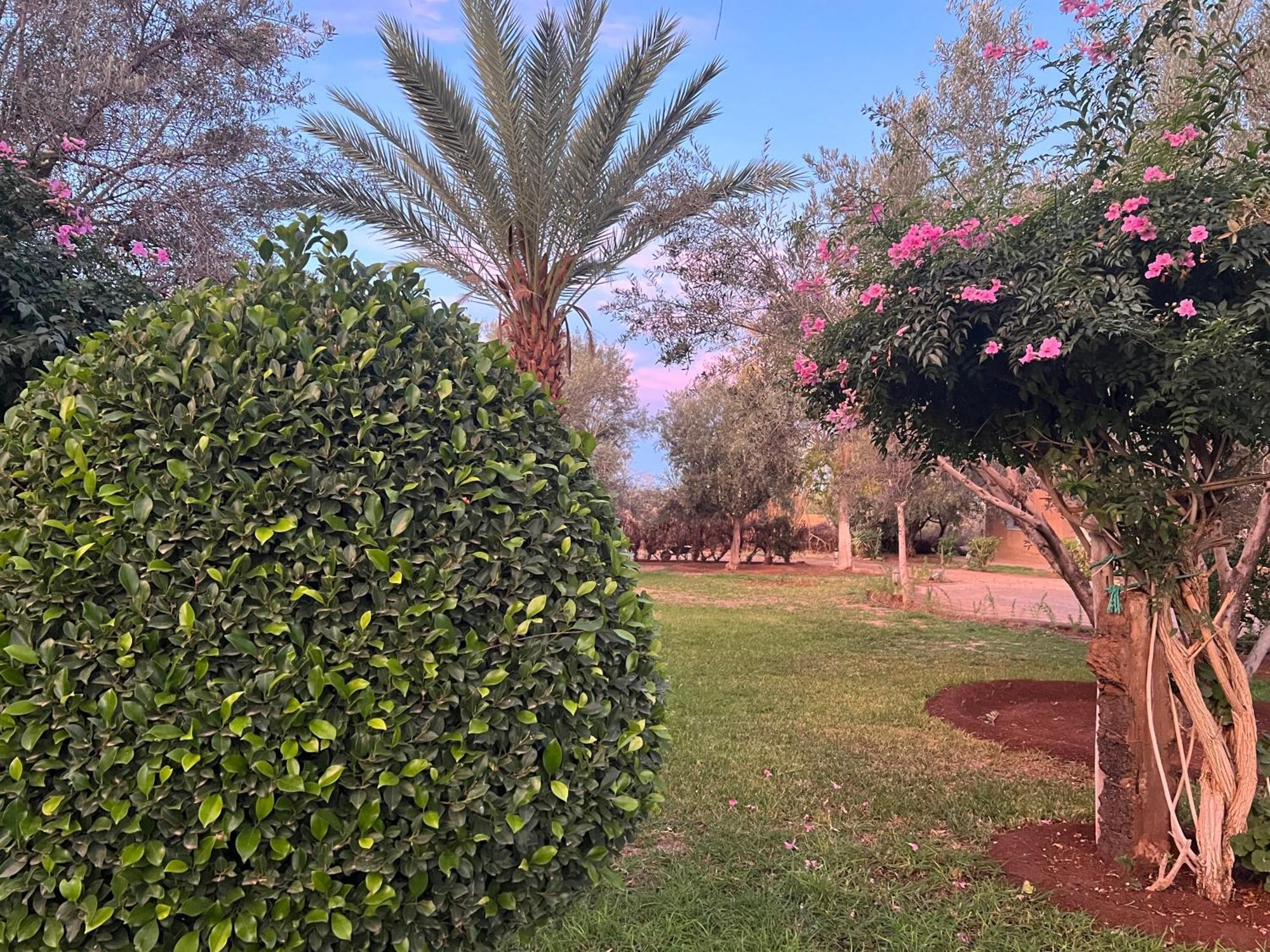 Douar AkkaraLe Domaine De Carole Marrakech住宿加早餐旅馆 外观 照片