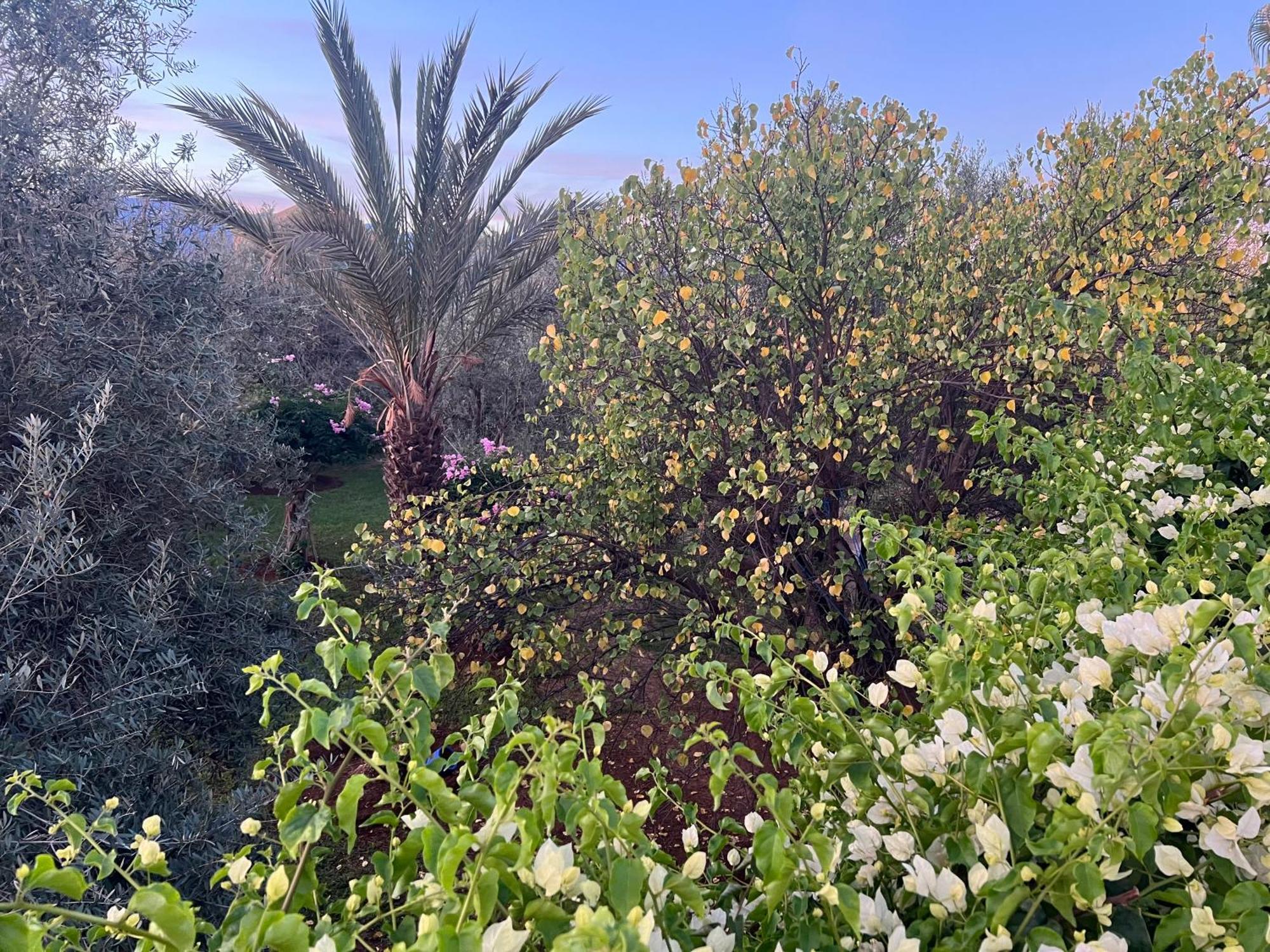 Douar AkkaraLe Domaine De Carole Marrakech住宿加早餐旅馆 外观 照片