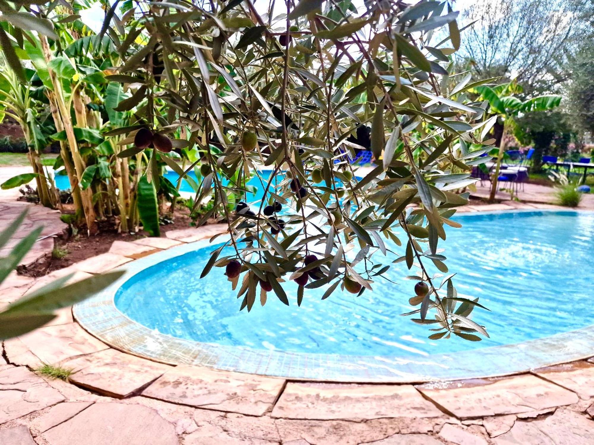 Douar AkkaraLe Domaine De Carole Marrakech住宿加早餐旅馆 外观 照片